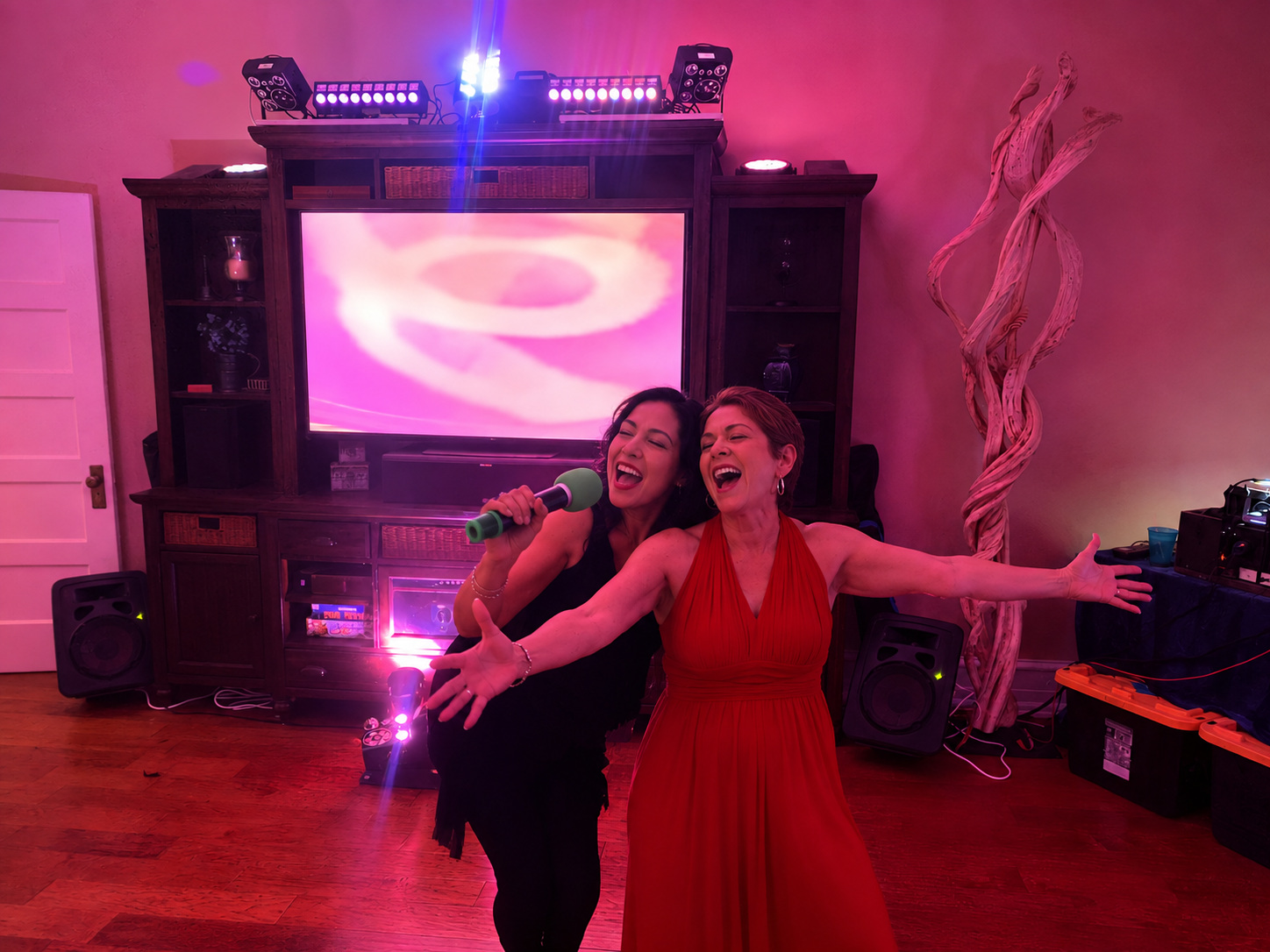 Two guests singing together at a private sloKaraoke party